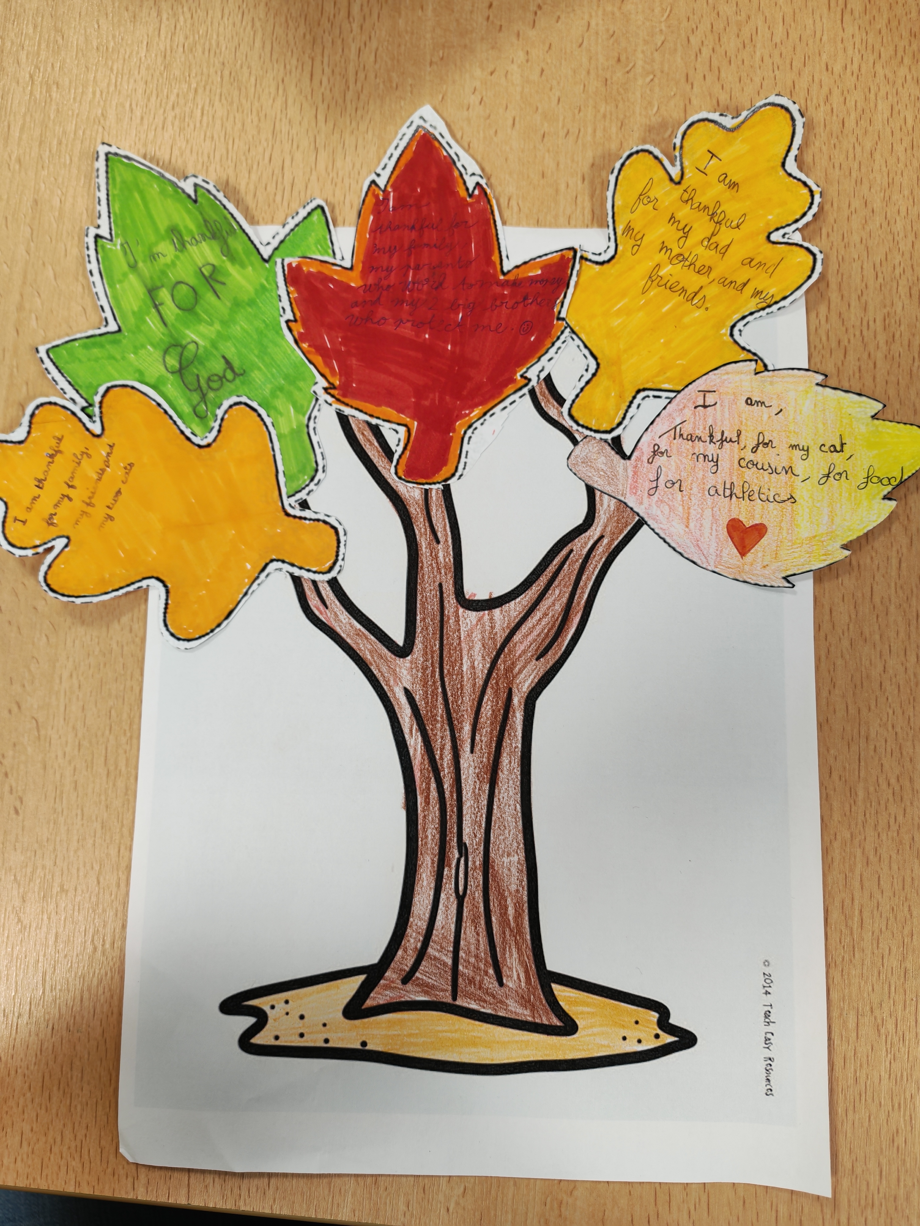 Opt°Angl Thanksgiving 2025 -1